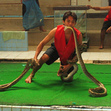 Small_snake_wrestling