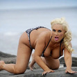 Small_coco_on_hands_and_knees